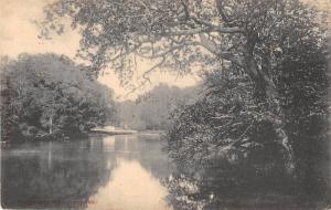 BR81630 waggoner s wells hindhead  uk