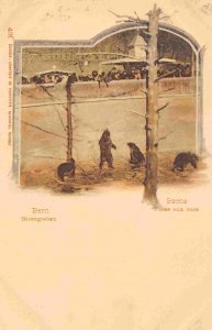 Bear Enclosure Barengraben Bern Switzerland 1905c postcard