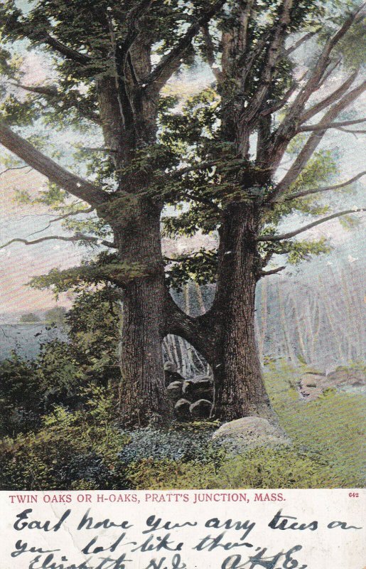 PRATT'S JUNCTION, Massachusetts, PU-1907; Twin Oaks Or H-Oaks