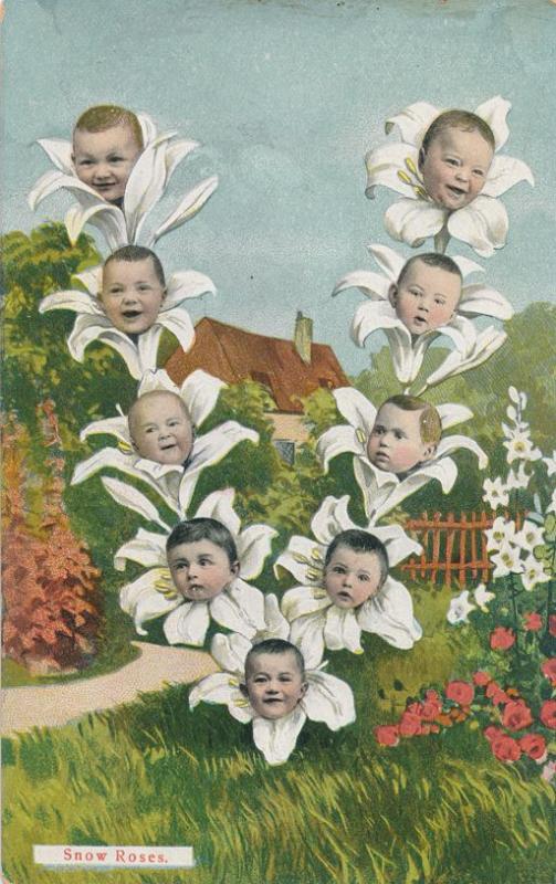 Multiple Babies Greetings - Snow Rose Flower Babies Fantasy - UDB
