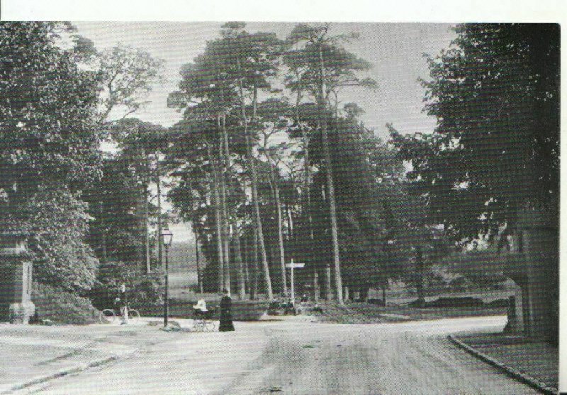 Warwickshire Postcard - The Grove, Kenilworth Road, Coventry c.1910 - Ref18664A 