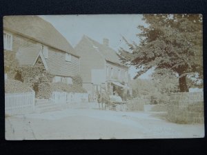 WEST HOATHLY North Lane THE CAT INN & J.A.BAILEY GROCER & DRAPER SHOP c1911 RPPC