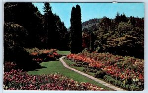 Sunken Garden Butchart Gardens VICTORIA B.C. CANADA Postcard