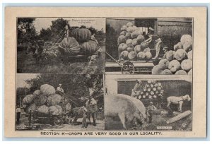 c1910's Section K Crops Are Very Good In Locality Multiview Antique Postcard