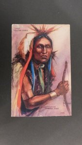 Mint Embossed Picture Postcard Native American Indian Cover Chief Yellow Hawk
