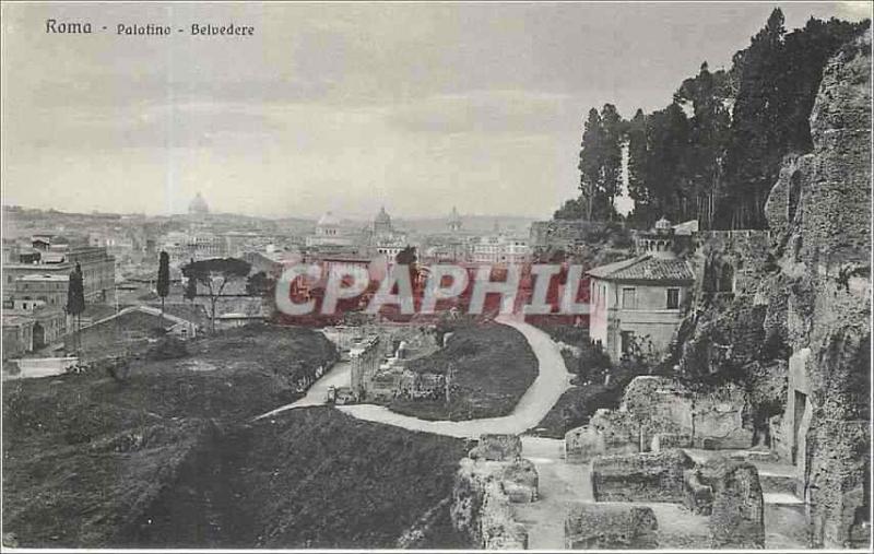  Vintage Postcard Roma - Palatino - View-point