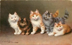 Sophie Sperlich Art Postcard 1002. A Variety of Happy Cats in a Row, Posted