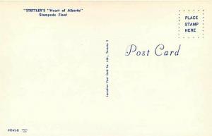 Canada, Alberta, Stettler, Stampede Float, Canadian Post Card Co. No. 99141-B