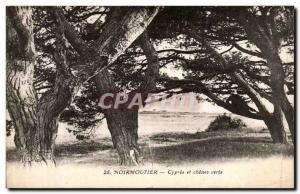 Old Postcard Noirmoutier Cypres and green oaks
