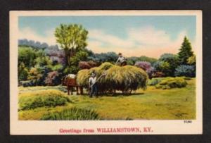 KY Greetings from WILLIAMSTOWN KENTUCKY Postcard Haying