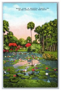 Vintage 1940s Postcard Water Lillies Mc Kee Jungle Gardens Vero Beach Florida