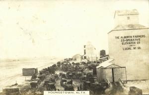 canada, YOUNGSTOWN, ALTA., Farmers Co-Operative Elevator Co. (1910s)  RPPC