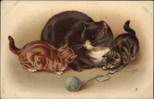 Mother Cat and Baby Kittens with Yarn Animal Studies c1910 Vintage Postcard