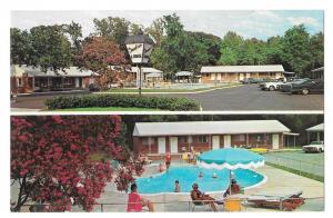 VA Williamsburg Greenbrier Lodge Motel Swimming Pool Postcar