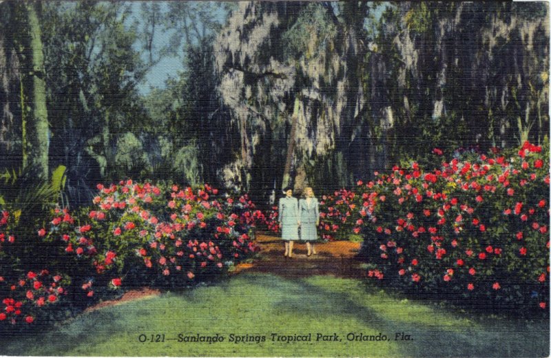 [ Linen ] US Florida Orlando - Sanlando Springs Tropical Park