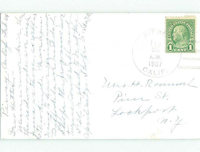 1937 rppc - FERN PLANTS ON REDWOOD HIGHWAY POSTMARK PIERCY Near Leggett p2225