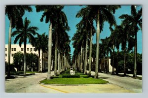 Palm Beach FL-Florida, Royal Palm Way, Chrome Postcard 