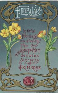 Birth Month February - Birthstone Amethys - Flower Primrose - DB