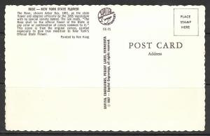 New York - Rose - Official State Flower - [NY-033]
