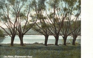 Vintage Postcard Greenwater Pond Lee Massachusetts MA Hugh C. Leighton Pub.