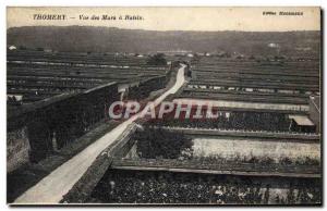 Postcard Old Thomery view of the walls grapes