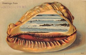 Queenstown Maryland Greetings Beach Scene Shell Border Postcard AA85409