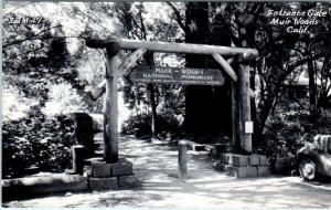 RPPC  MUIR WOODS National Monument, CA   ENTRANCE GATE  Marin County    Postcard