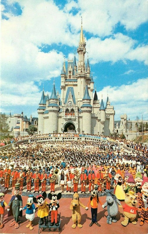 Disney World Cinderella Castle Florida FL characters Postcard