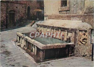 Modern Postcard Assisi Fountain of the Lions in Piazza San Rufino