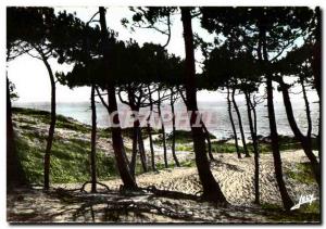 Modern Postcard Saint Jean de Monts (Vendee) the sea through the forest of