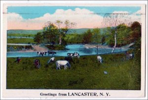 Greetings from Lancaster NY