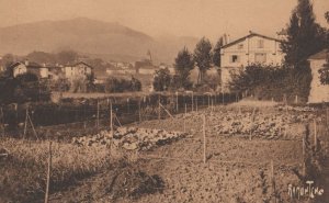 Le Pays Basque Saint Jean Pied De Port Antique French Postcard