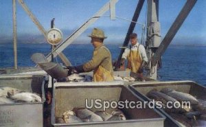 Unloading Salmon - Misc, Washington WA  