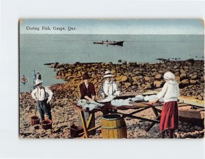 Postcard Curing Fish, Gaspé, Canada