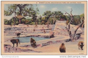 Monkey Island Breckenridge Park San Antonio Texas 1941