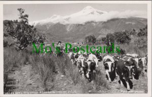 Chile Postcard - Volcan Yates, Rio Puelo, Estuario-Reloncavi Ref.RS29412