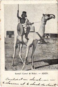 PC ADEN SOMALI CAMEL RIDER ETHNIC TYPES YEMEN (a31941)