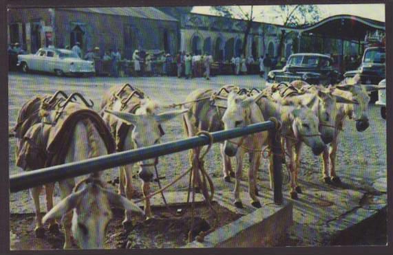 Market Place,St Thomas,Virgin Islands,US Postcard 