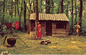 J85/ Cincinnati Ohio Postcard Chrome Coney Island Park Widow Stites  254