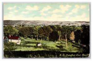 A Ranch In The Badlands North Dakota ND UNP DB Postcard W6