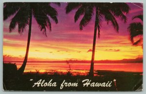 Hawaii~Aloha Card Palms & Beach Sunset View~Standard Chrome Postcard