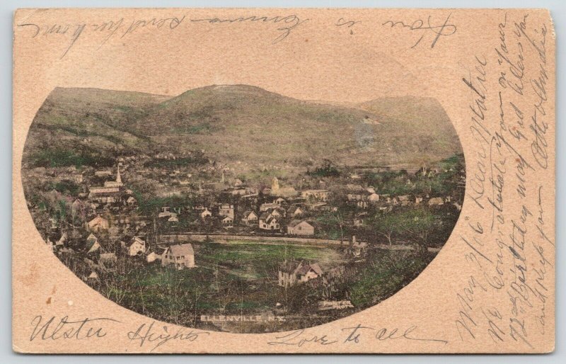 Ellenville New York~Birdseye Across Road~Homes~Farms~Church~Porter Photo~1906 PC 