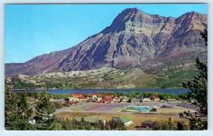 WATERTON LAKE, Alberta Canada ~ Birdseye of TOWN & MOUNT VIMY c1950s Postcard