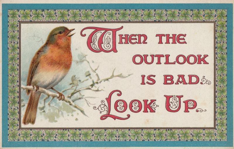 Robin Weather Outlook Songcard Look Up Bird Morale Proverb Postcard