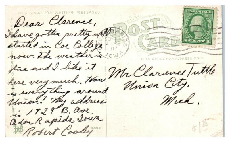 1917 The Palisades, Cedar Rapids, IA Postcard *5N9