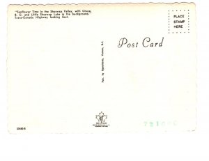 Sunflower Time, Shuswap Valley, British Columbia