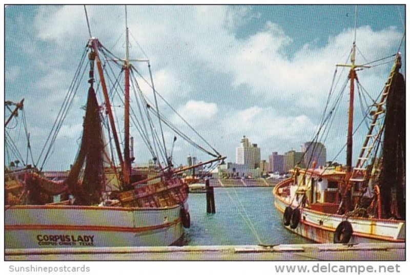 Texas Corpus Christi Shrimp Boats At The Seawall and Skyline