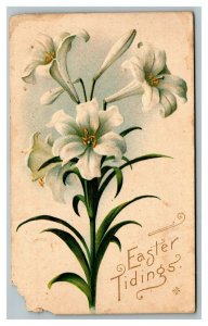 Vintage 1900's Easter Tidings Postcard White Flowers Gold Lettering Very Nice