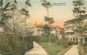 Albertype The Carolina Pinehurst North Carolina roadside 1925 Postcard 20-7058