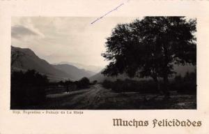 La Rioja Argentina Scenic View Real Photo Antique Postcard J74406
